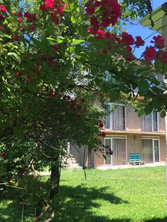 Dani'S House Apartman Kobuleti Kültér fotó